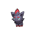 Zorua