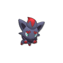Zorua