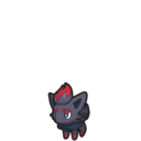 Zorua