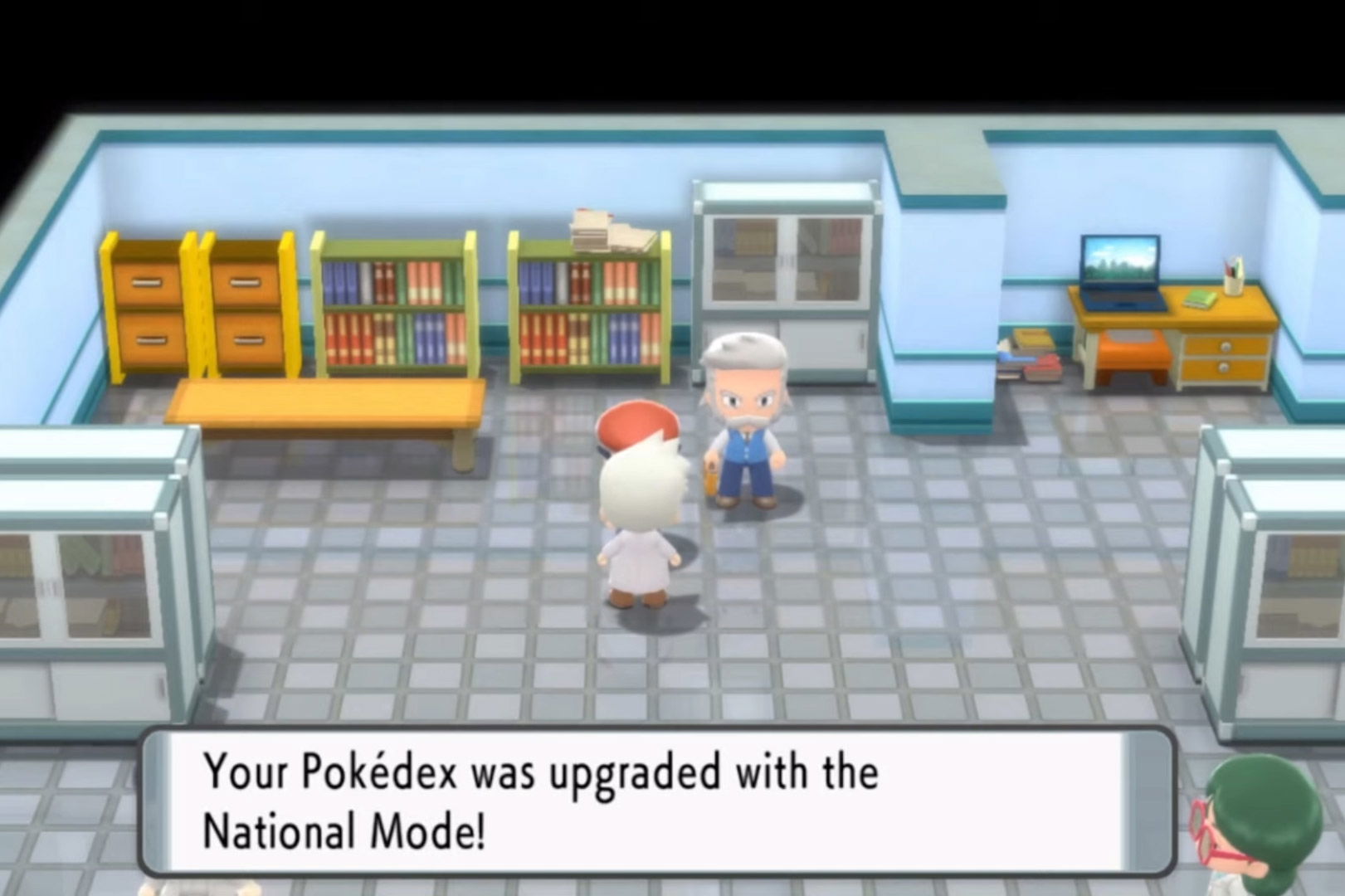 Pokemon BDSP National Pokedex Key Item