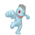 Machop-Pokemon-Image