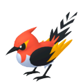 Fletchinder-Pokemon-Image