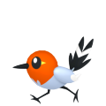 Fletchling-Pokemon-Image