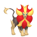 Pyroar-Pokemon-Image