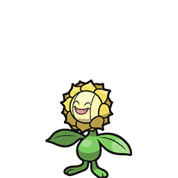  Sunflora