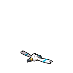 Wingull-Pokemon-Image