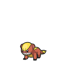 Yungoos-Pokemon-Image