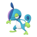 Pokemon Sword and Shield Drizzile