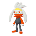 Pokemon Sword and Shield Raboot