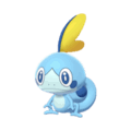Pokemon Sword and Shield Sobble