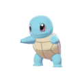 Pokemon Sword and Shield Squirtle