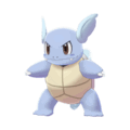 Pokemon Sword and Shield Wartortle