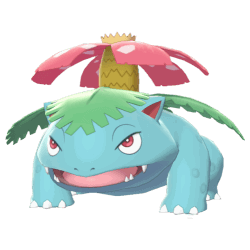 Pokemon Sword and Shield Venusaur