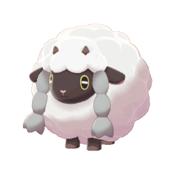 Pokemon Sword and Shield Wooloo