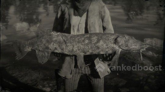 Redemption 2 Pike | Locations, Crafting, Legendary, Materials