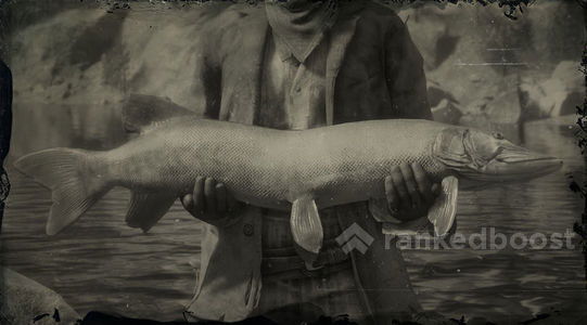 Red Dead Redemption 2 Muskie