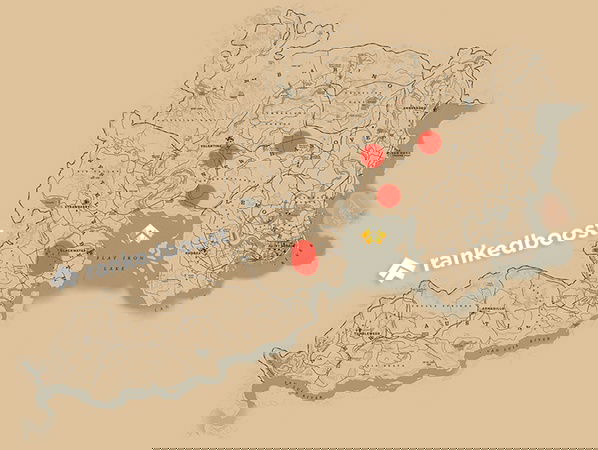 RDR2 Bison Locations