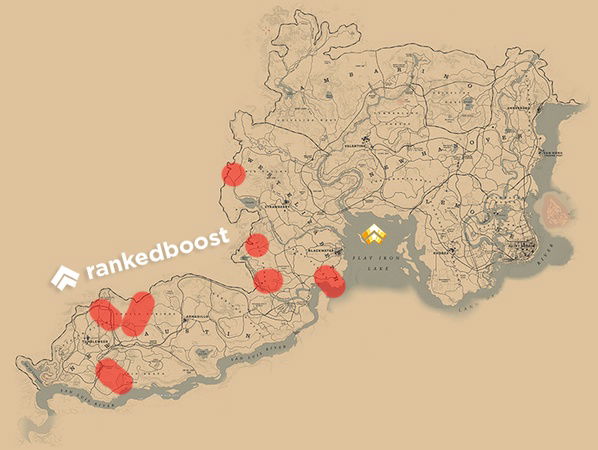 RDR2 Cougar Locations