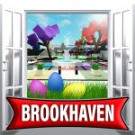 Brookhaven-codes