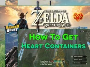 Zelda Breath of the Wild Heart Containers