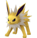 Jolteon (Pokémon) - Pokémon GO