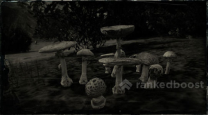 Red Dead Redemption 2 Parasol Mushroom