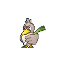 farfetch'd care guide!