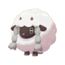 wooloo teddy