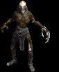 Diablo 2 Radament Guide