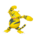 Pokemon Legends Arceus Electabuzz
