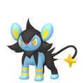 Pokemon Legends Arceus Luxio