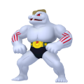 Pokemon Legends Arceus Machoke