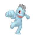 Pokemon Legends Arceus Machop