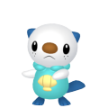 Pokemon Legends Arceus Oshawott