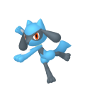 Pokemon Legends Arceus Riolu