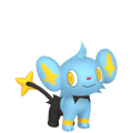 Pokemon Legends Arceus Shinx