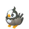 Pokemon Legends Arceus Starly