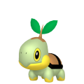 Pokemon Legends Arceus Turtwig
