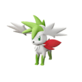 Shiny Shaymin land Form best Stats // Pokemon Legends: -  Israel