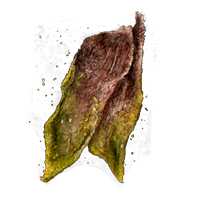 Elden Ring Immunizing Cured Meat
