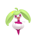 Pokemon Scarlet and Violet Steenee | Locations, Moves, Stats