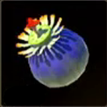 Zelda Tears of the Kingdom Bomb Flower