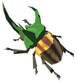Zelda Tears of the Kingdom Rugged Rhino Beetle