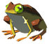 Zelda Tears of the Kingdom Tireless Frog
